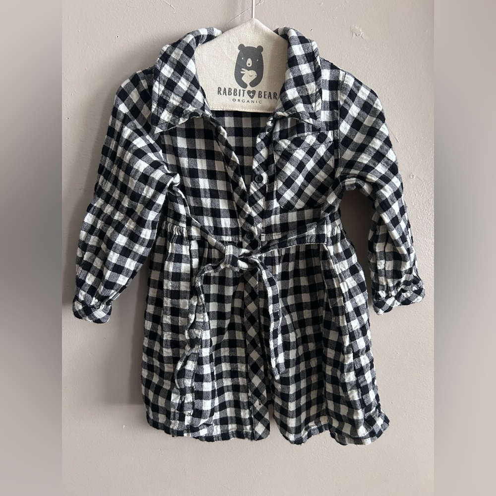 Zara checkered dress